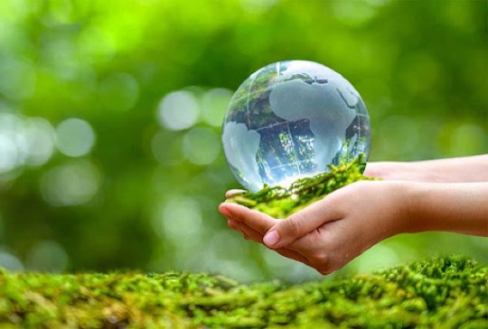 Công nghệ Kỹ thuật Môi trường