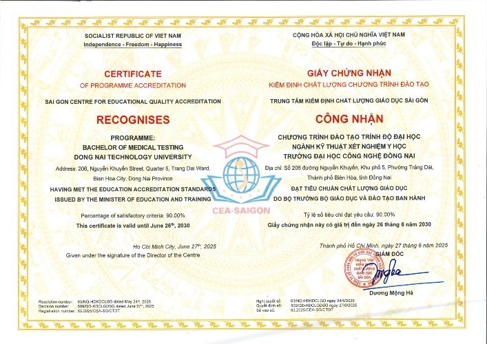Xếp hạng - Kiểm định