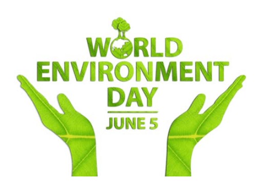 HÀNH ĐỘNG VÌ NGÀY MÔI TRƯỜNG THẾ GIỚI 5.6.2024